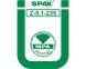 SPAX Tellerkopf Edelstahl A2  8x100 TX40 10 Stk