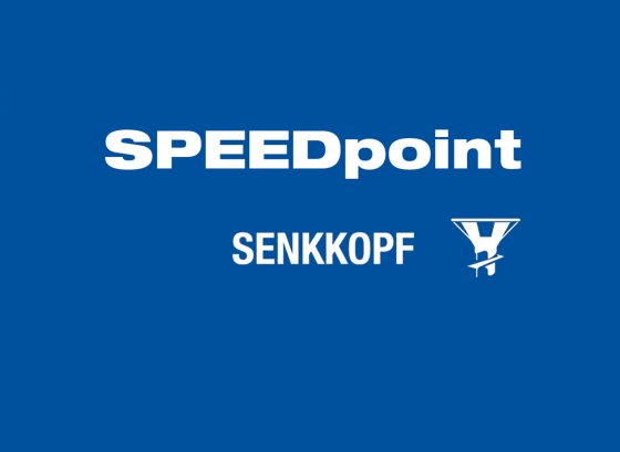 SPEEDpoint Universalschraube T-STAR Senkkopf