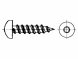 DIN 7981 Blechschraube LIKO Form C mit Spitze 2,9x13 TX8 Edelstahl A2 1000 Stk