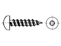 DIN 7981 Blechschraube LIKO Form C mit Spitze 3,5x19 TX10 Edelstahl rostfrei A2 1000 Stk