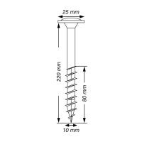 SPAX Tellerkopf TG TX50 10,0x220 WIROX  25 Stk