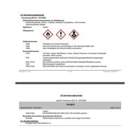 beko TecLine Holzgleit 1000 ml in Sprühflasche