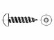 DIN 7981 Blechschraube LIKO Form C mit Spitze Edelstahl rostfrei A2