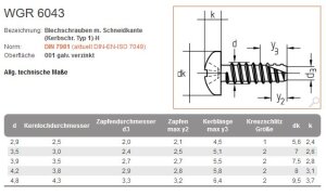 Blechschrauben m. Schneidkante (Kerbschr. Typ 1)-H  galv. verzinkt DIN 7981 - 4,2 x 16 - 1000 Stk