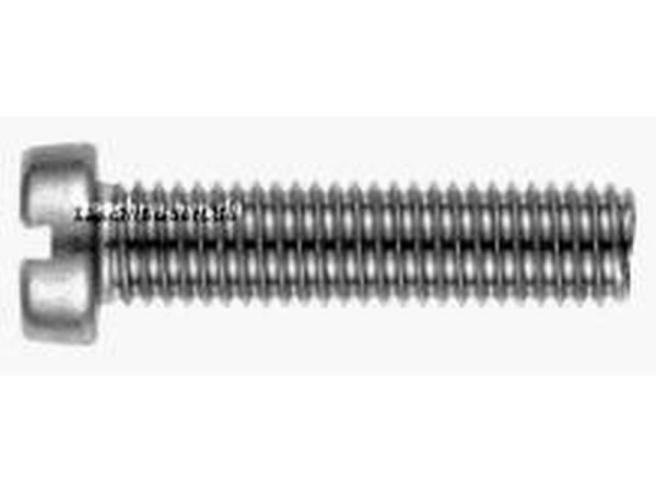 Zylinderschraube 4.8 mit Schlitz DIN 84 3x10 galv. verz. 100 Stk